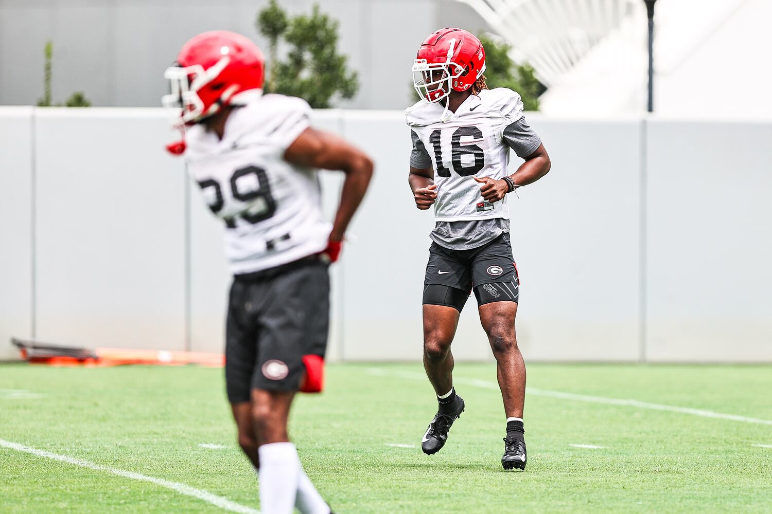 Georgia Bulldogs