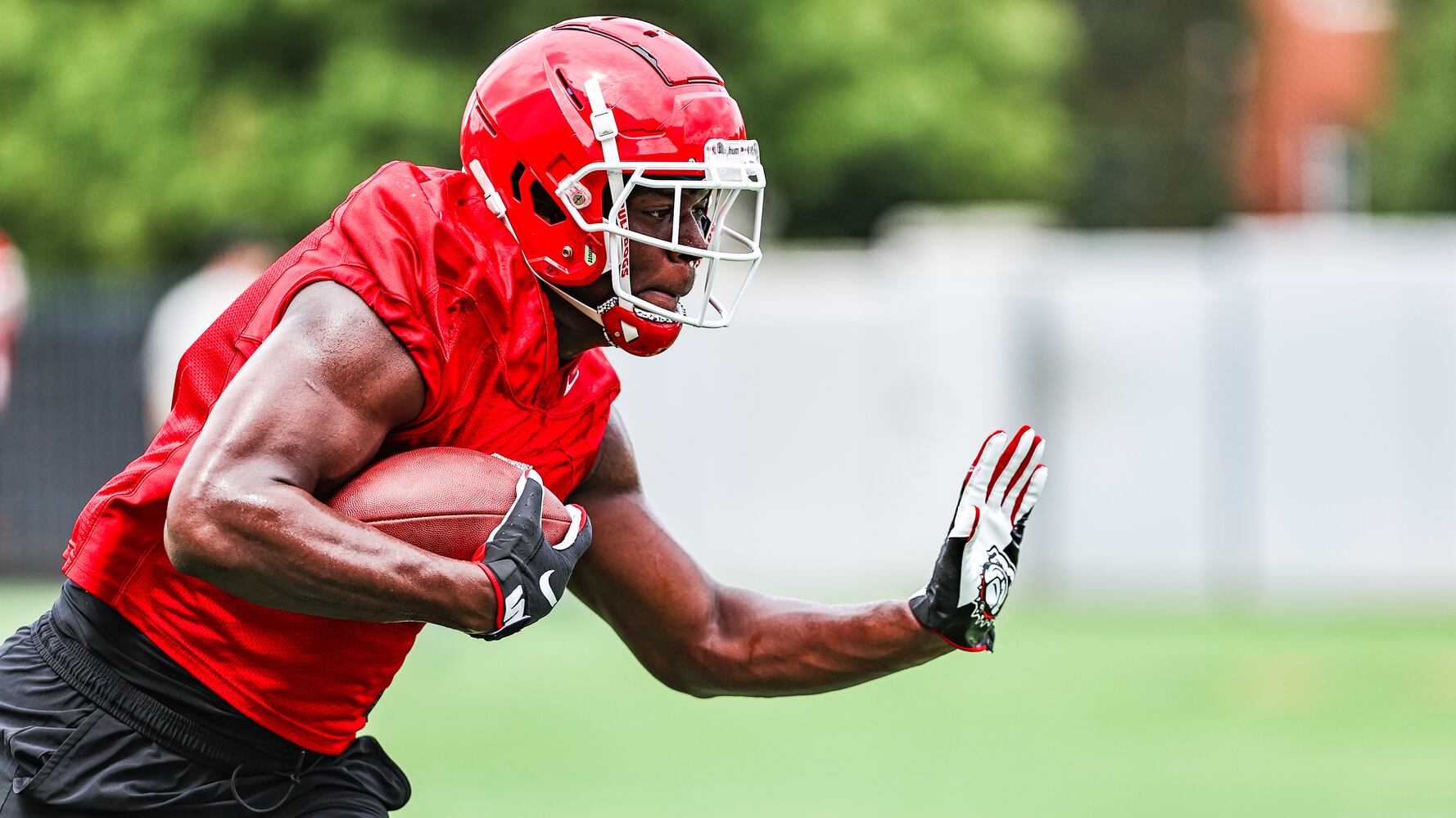 Georgia Bulldogs