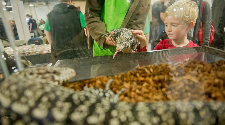 Philip Liebenberg pets a black and white Argentine tegu during Repticon at the Gwinnett County Fairgrounds in Lawrenceville in 2013. (Jonathan Phillips for the AJC)