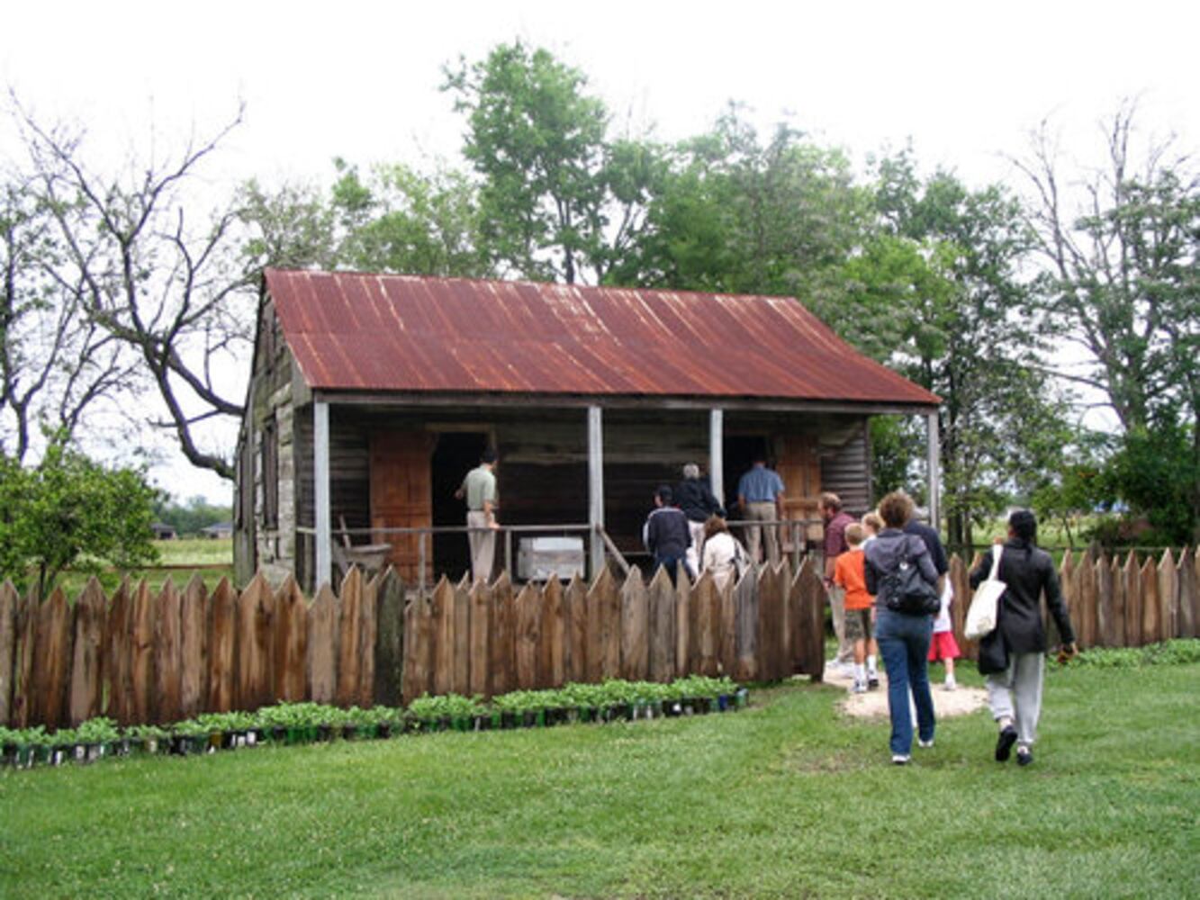 Tours of Louisiana swamps and plantations