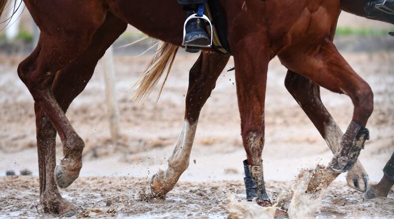 The USDA has issued a new rule to help protect horses from an abusive practice known as soring.