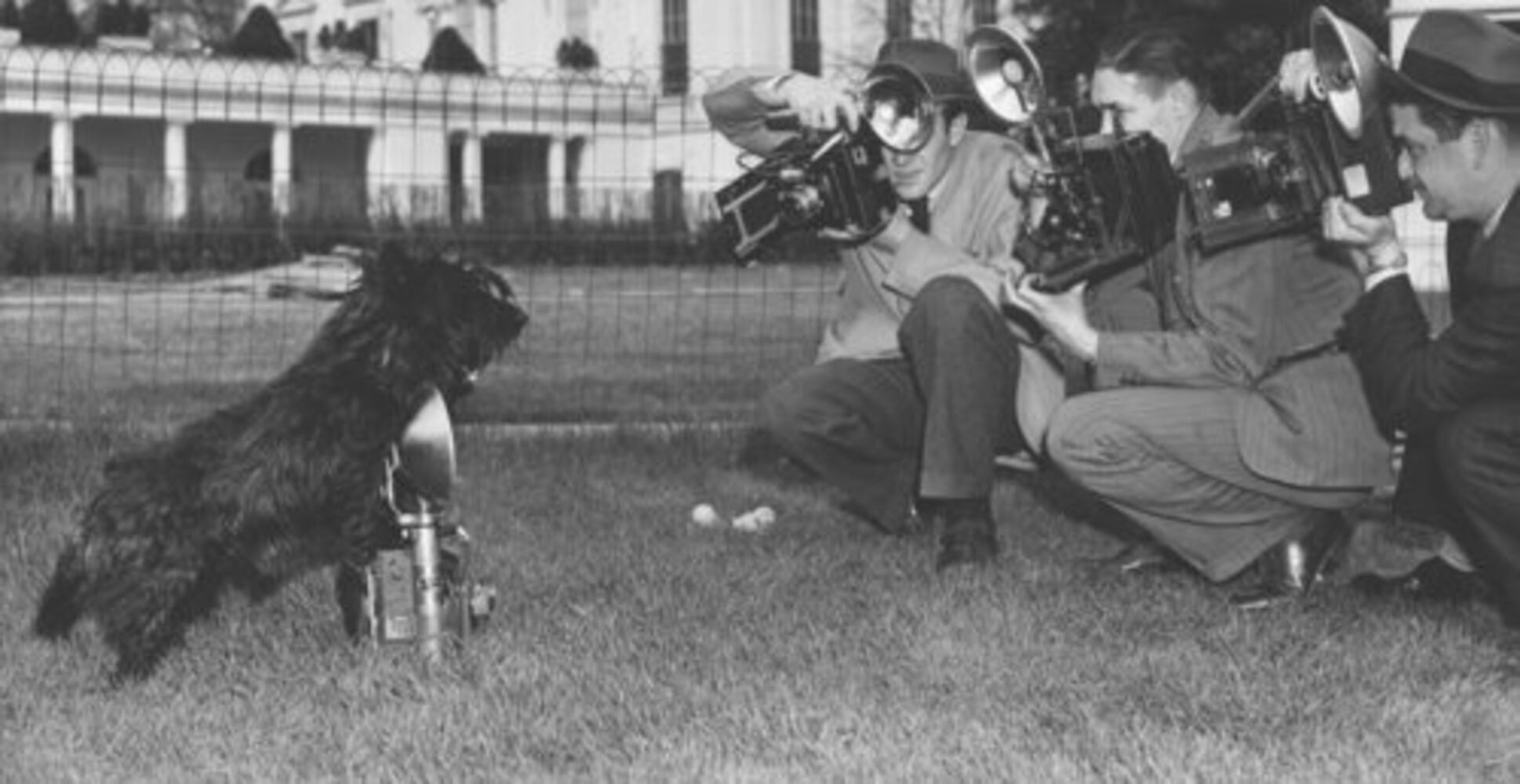 White House dogs, cats and more through the years.