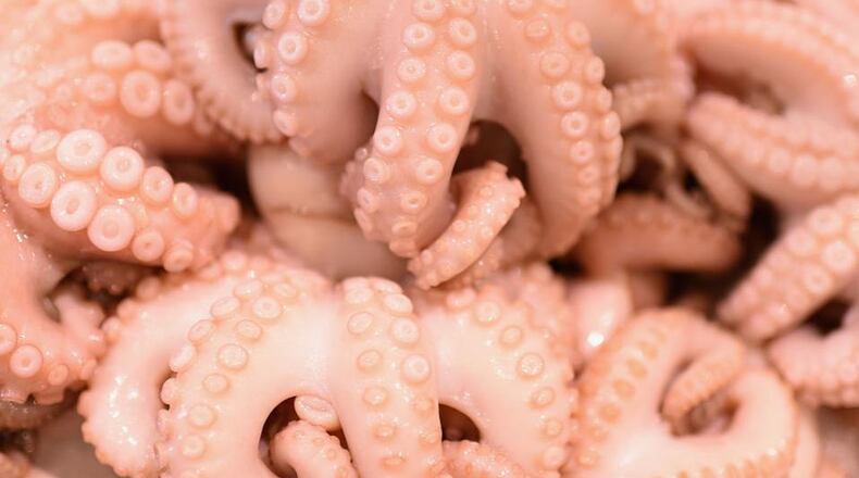 File photo. (Photo by Cameron Spencer/Getty Images)