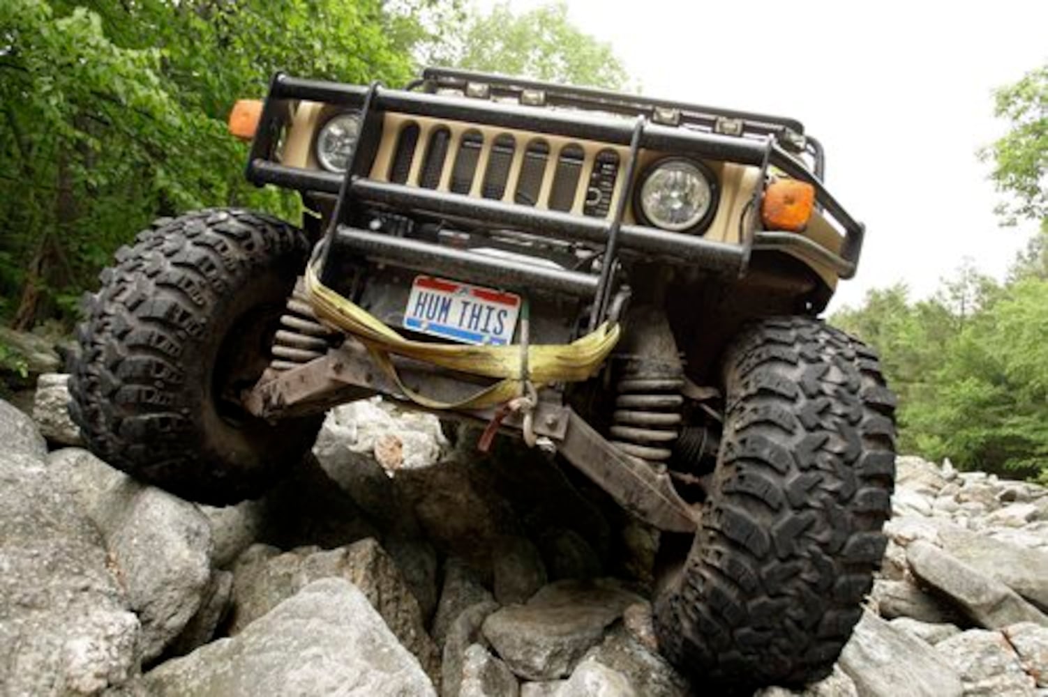 Hummer owners' passion