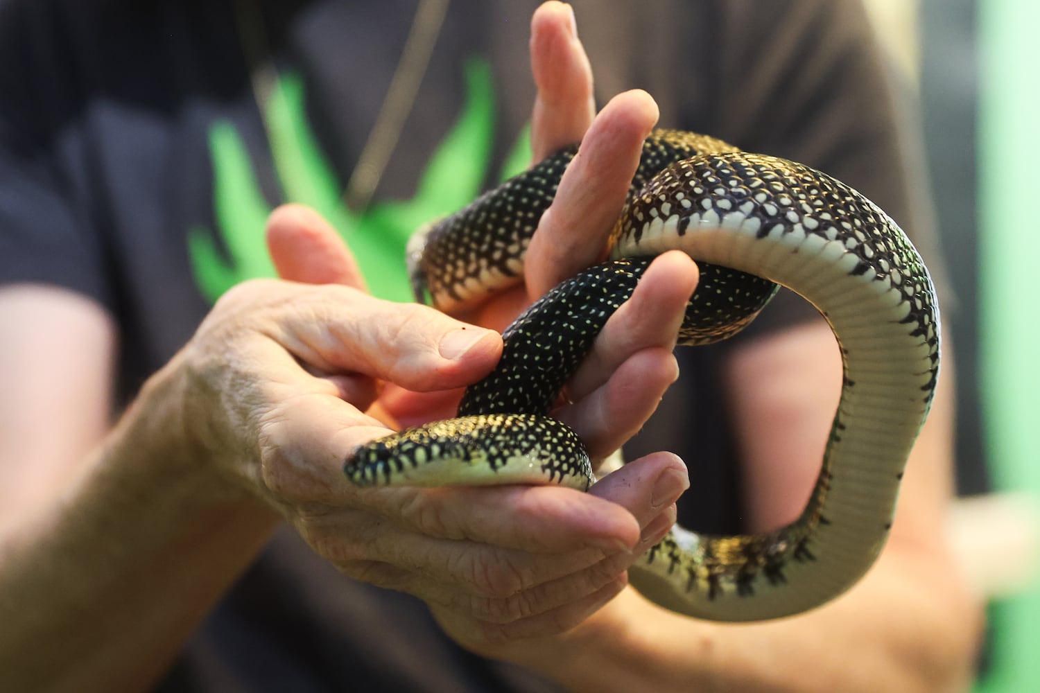 Buckhead-based Amphibian Foundation poised for relocation