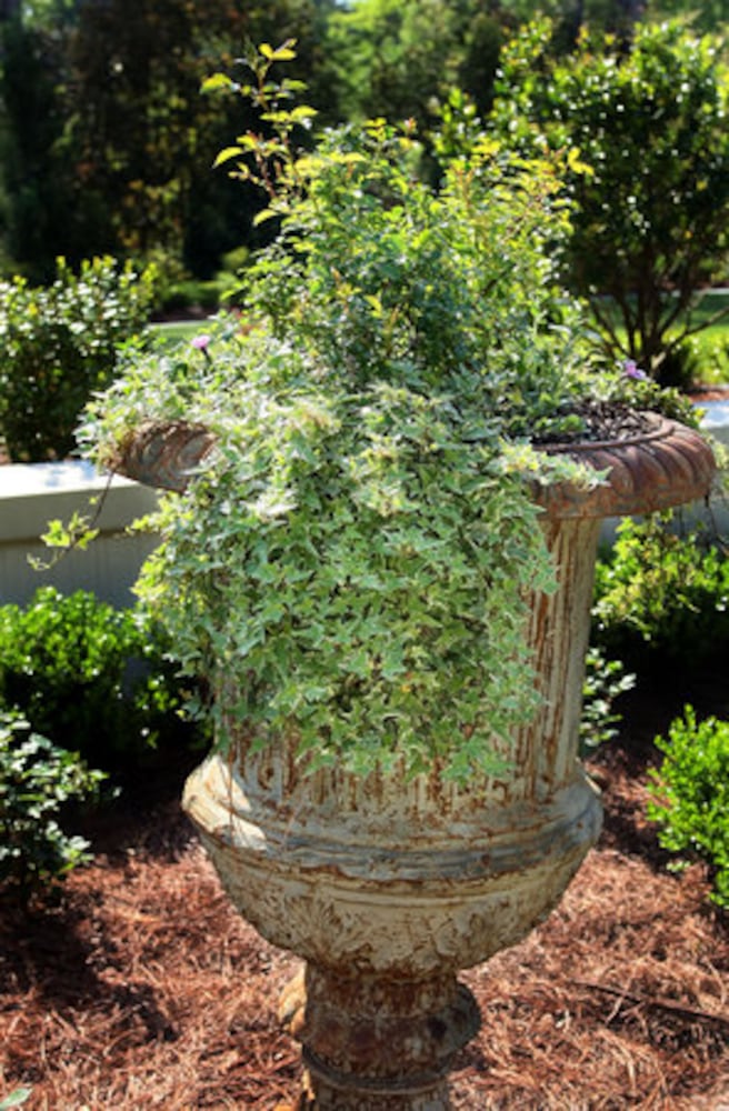 Arthur Blank's garden featured on tour