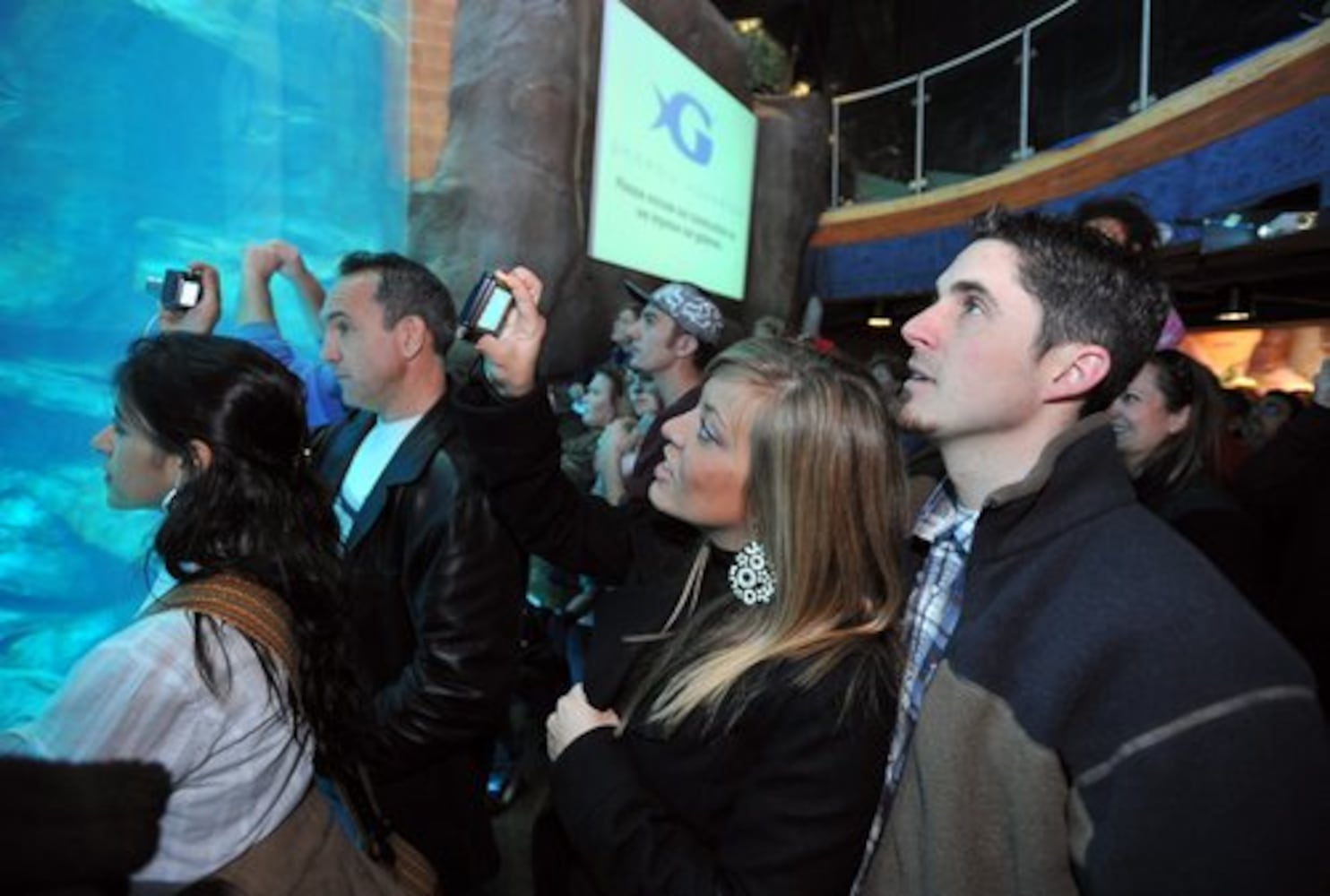 Georgia Aquarium welcomes new harbor seals