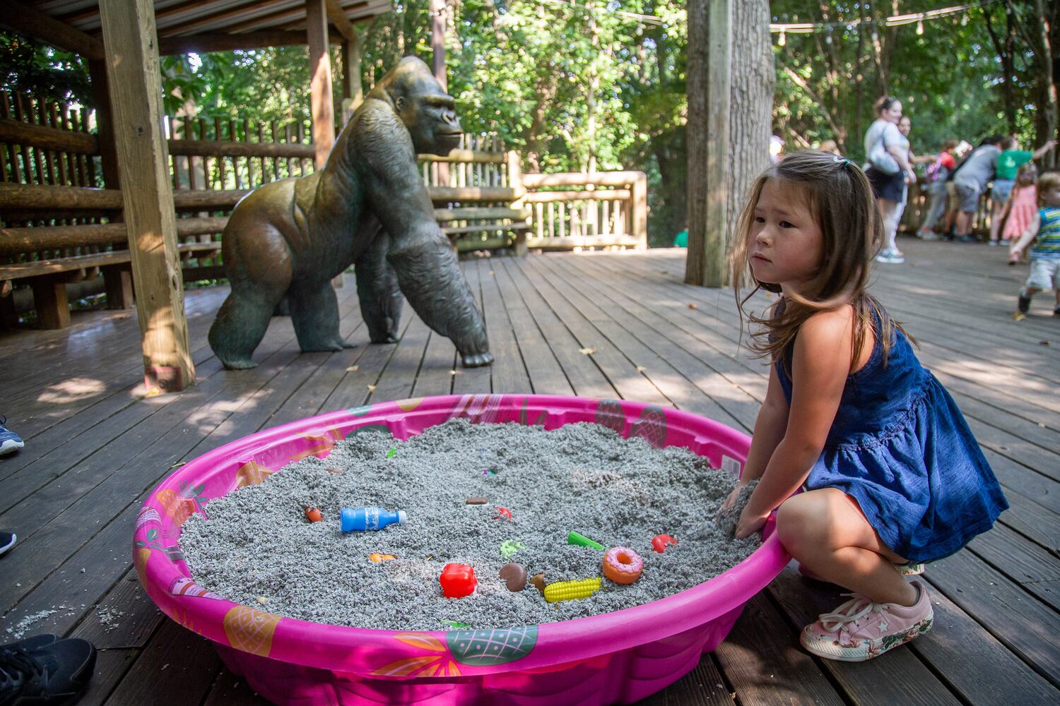 PHOTOS: 090819 zoo