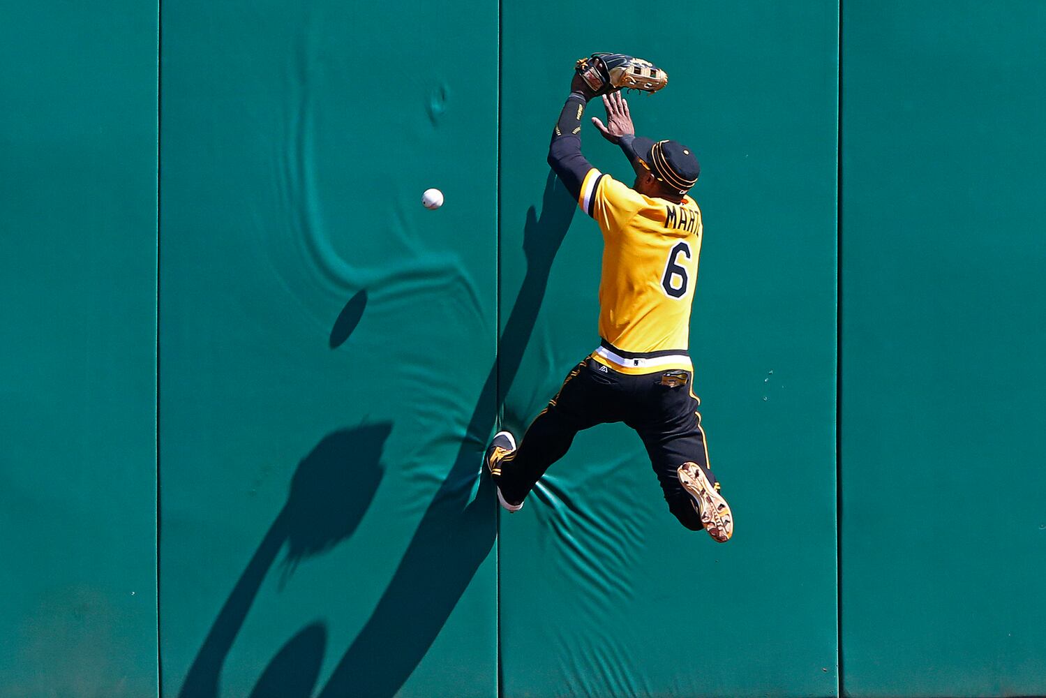 Photos of the Week, June 10, 2016