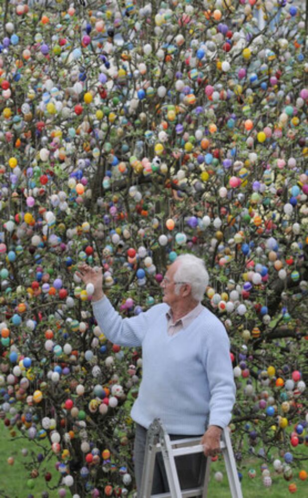 Easter egg tree in Germany
