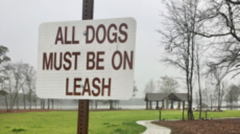 Concerns about unleashed dogs at Peachtree City’s Drake Field have led to a permanent leash rule there. AJC file photo