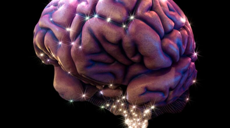 Brain tissue samples from people of all ages suggest we stop growing new neurons in our early teens/ (Dreamstime/TNS)