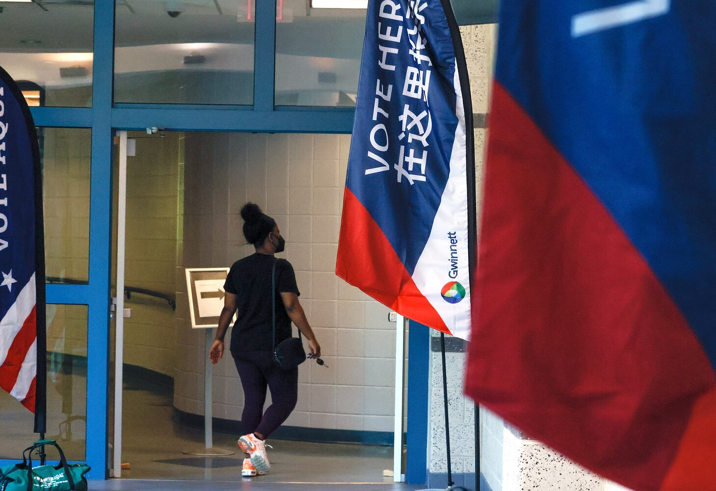 Gwinnett Voting Day