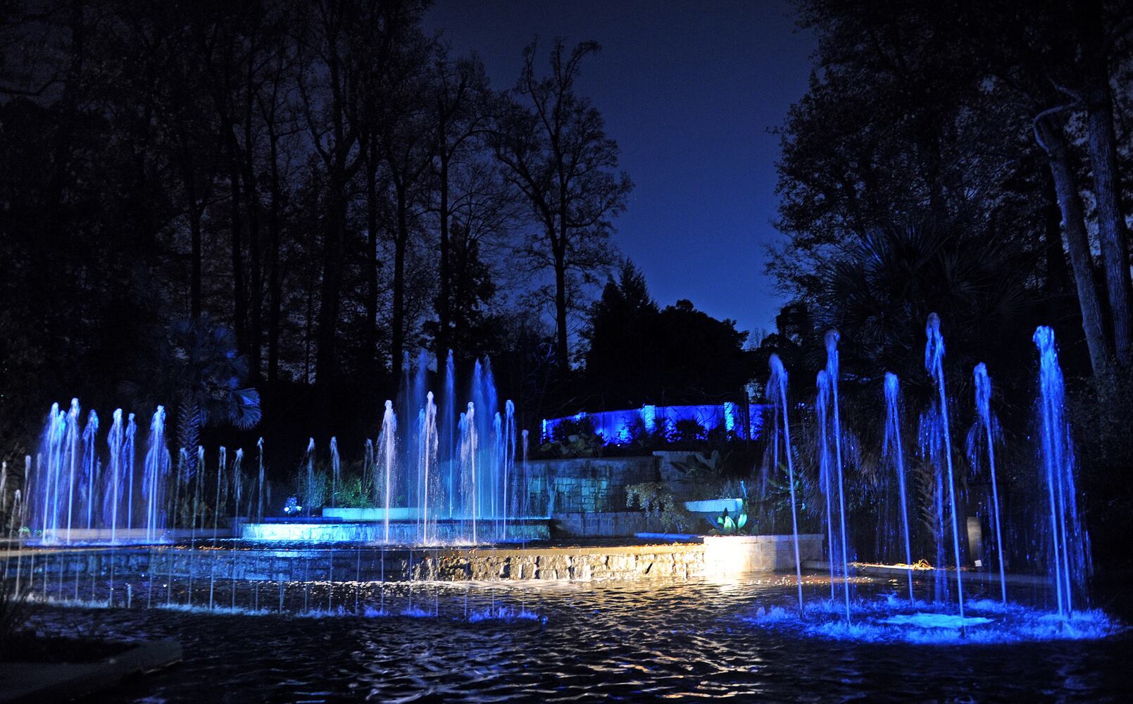 Holiday Lights at Atlanta Botanical Gardens