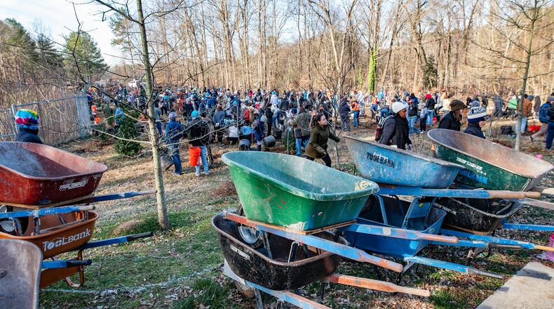 Volunteers in Dunwoody work on a tree-planting project in January.