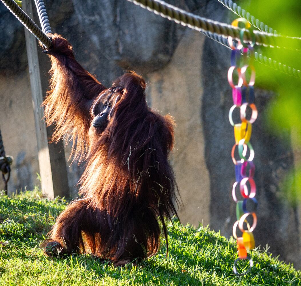 PHOTOS: 090819 zoo