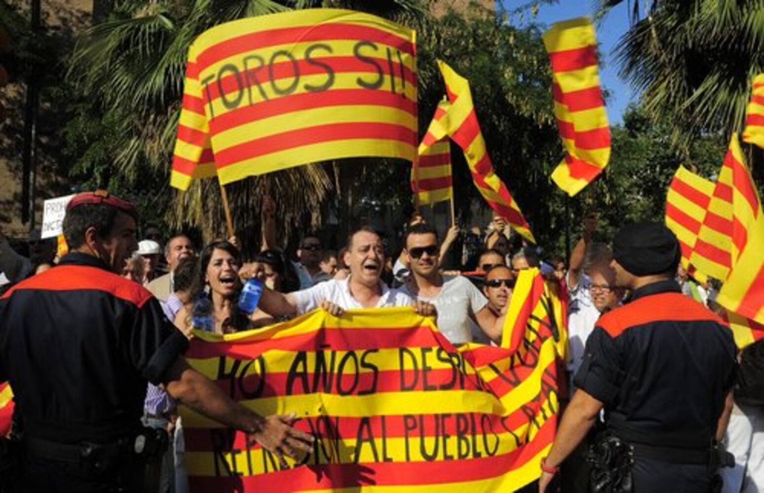 Bullfighting protest in Spain