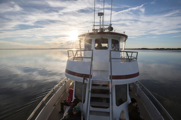 A newly adopted policy increases the number of daily public ferry visitors to Cumberland Island. (Stephen B. Morton for the AJC 2022)