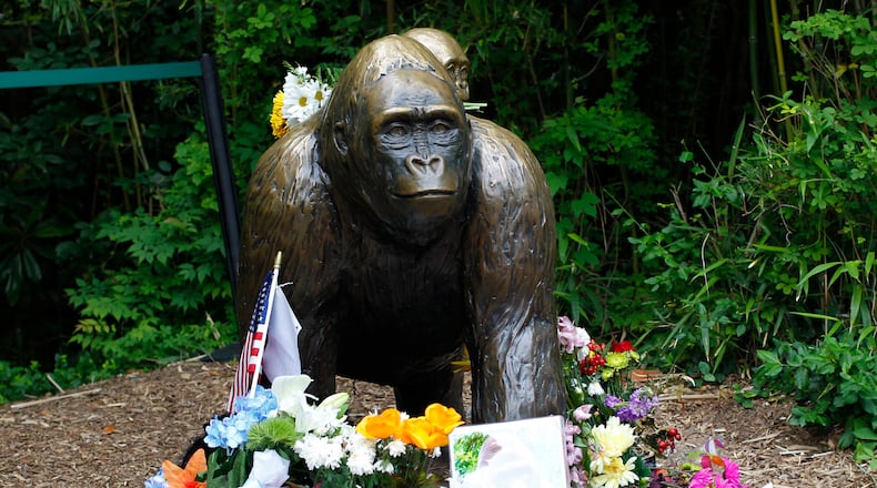 CINCINNATI, OH - JUNE 2: Flowers lay around a bronze statue of a gorilla and her baby outside the Cincinnati Zoo's Gorilla World exhibit days after a 3-year-old boy fell into the moat and officials were forced to kill Harambe, a 17-year-old Western lowland silverback gorilla June 2, 2016 in Cincinnati, Ohio. The exhibit is still closed as zoo officials work to upgrade safety features of the exhibit. (Photo by John Sommers II/Getty Images)