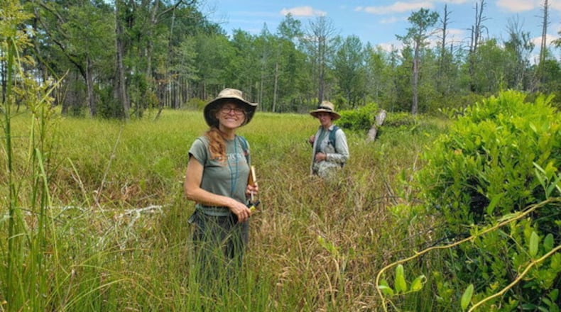 DNR's Lisa Kruse and Stephanie Koontz assess pondberry at Sandhills WMA. (Nathan Klaus/DNR)