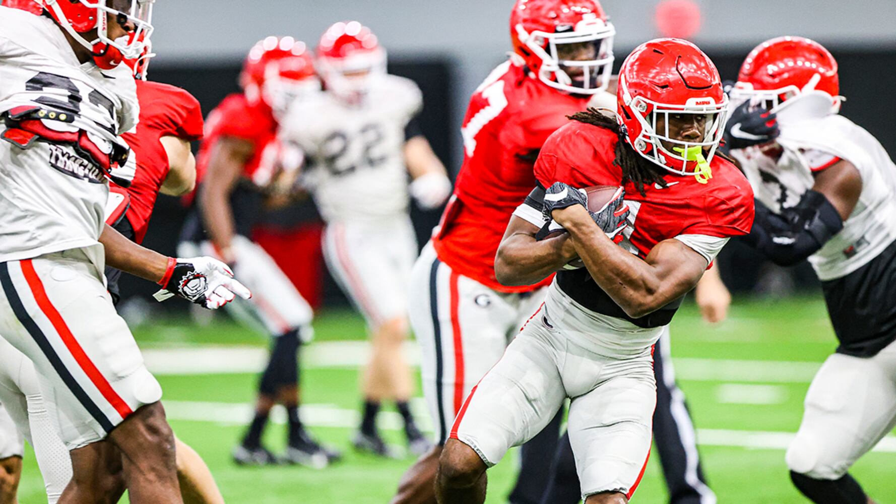 Georgia Bulldogs