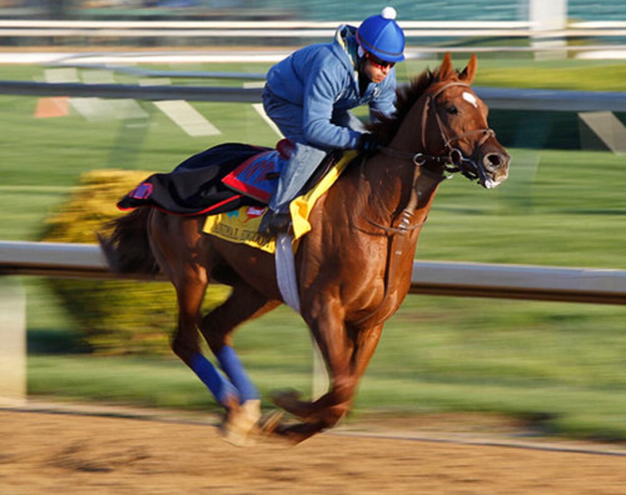 Kentucky Derby field 2011