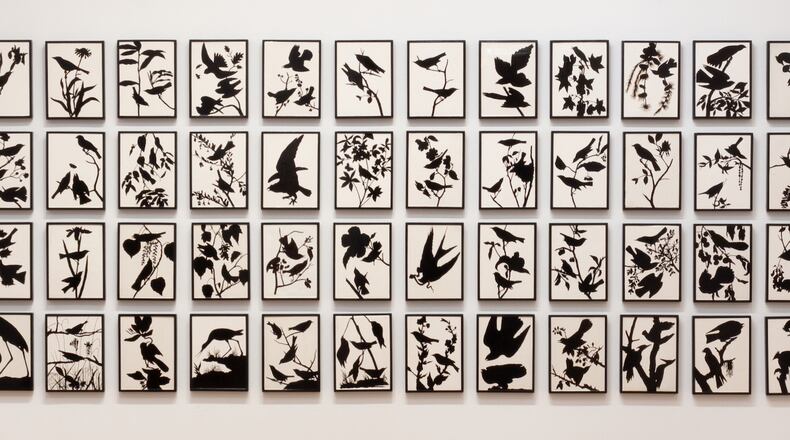 Tim Hunter's "Birds of America in Decline" (detail above) is beautifully displayed this month at Spalding Nix Fine Art.