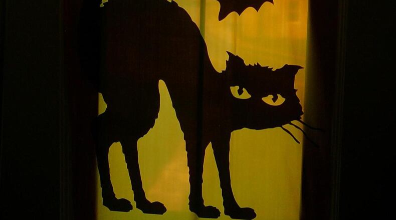 SDRandCo/Morguefile (Morguefile license: https://www.morguefile.com/license)