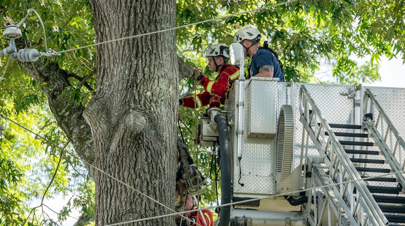 A tree removal worker was electrocuted Monday in Acworth, according to investigators. Crews later removed the man's body from a tree.