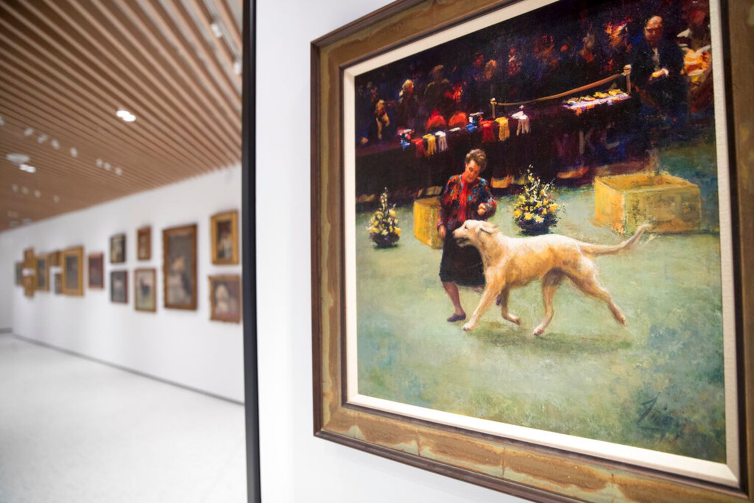 american kennel club museum of the dog