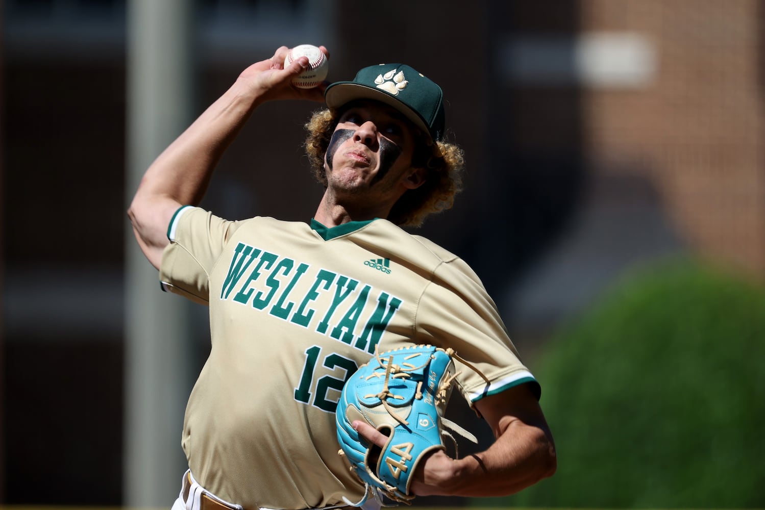 GHSA Baseball Playoffs