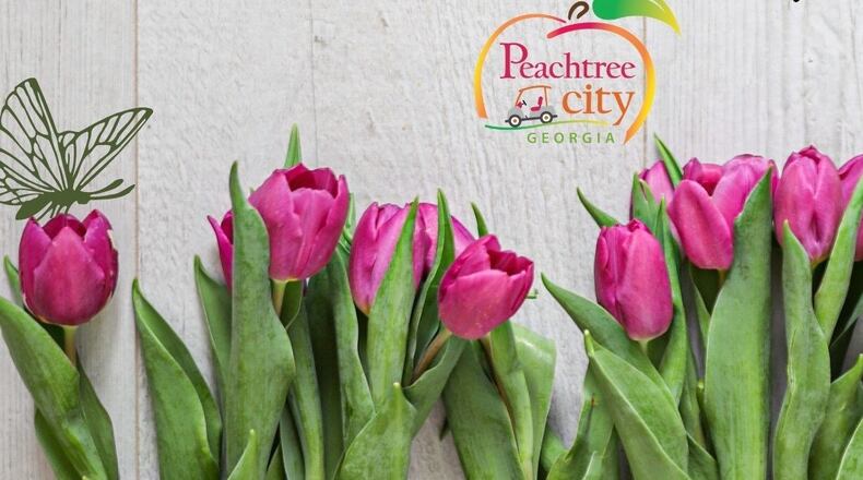 Peachtree City resident comments are requested on the city's proposal for a short-term rental ordinance and for this year's Comprehensive Plan Update. (Courtesy of Peachtree City)