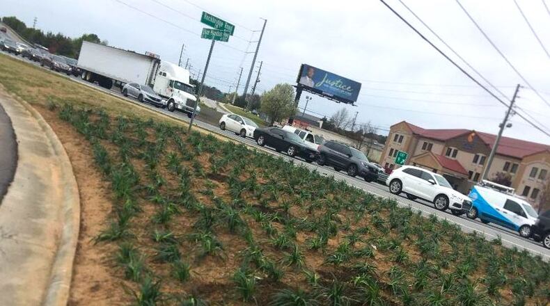 The Evermore CID’s landscaping crew recently removed juniper located in an island at Rockbridge Road and Stone Mountain Highway/Ga. 78 and replaced it with liriope. (Courtesy Evermore CID)