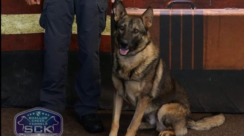 K9 Clodo is starting his job with the Duluth Police Department this week.