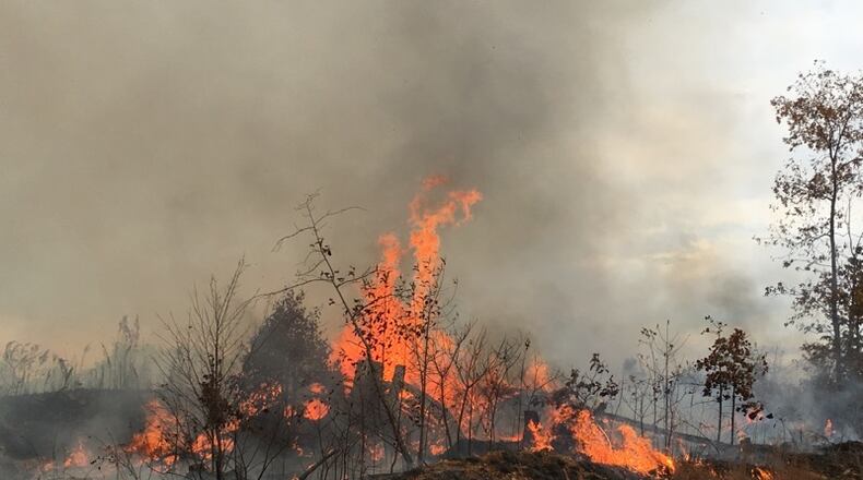 A fire in Paulding County was about 75 percent contained as of 3 p.m. (Credit: Paulding County Fire and Rescue)