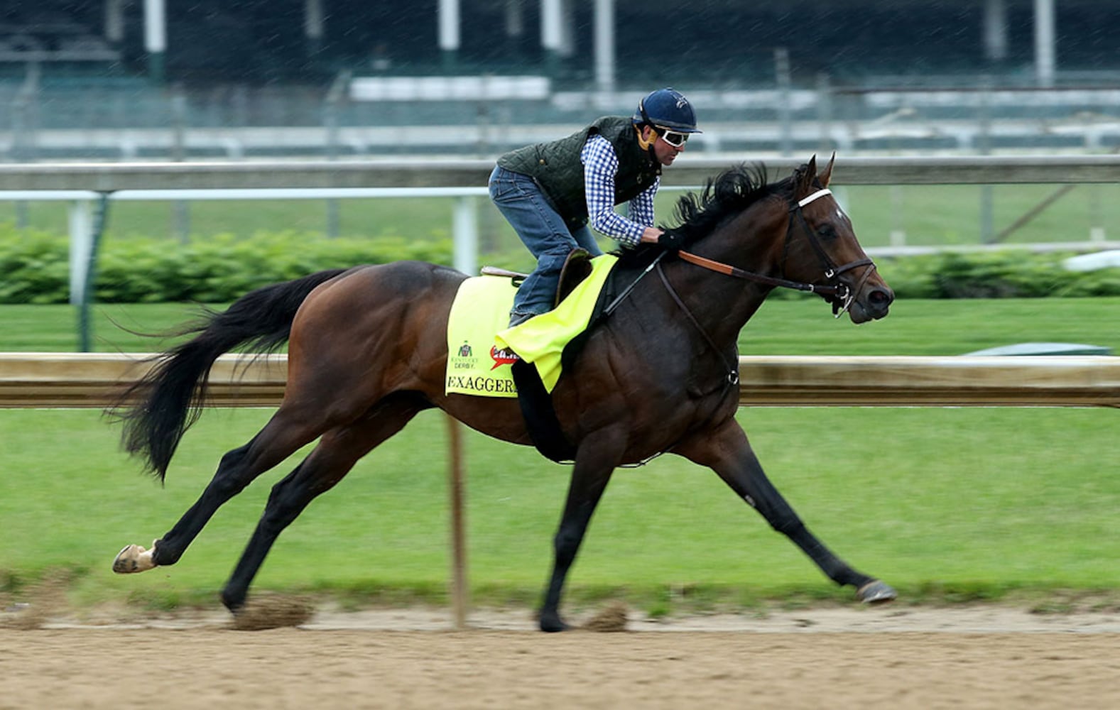 2016 Kentucky Derby field