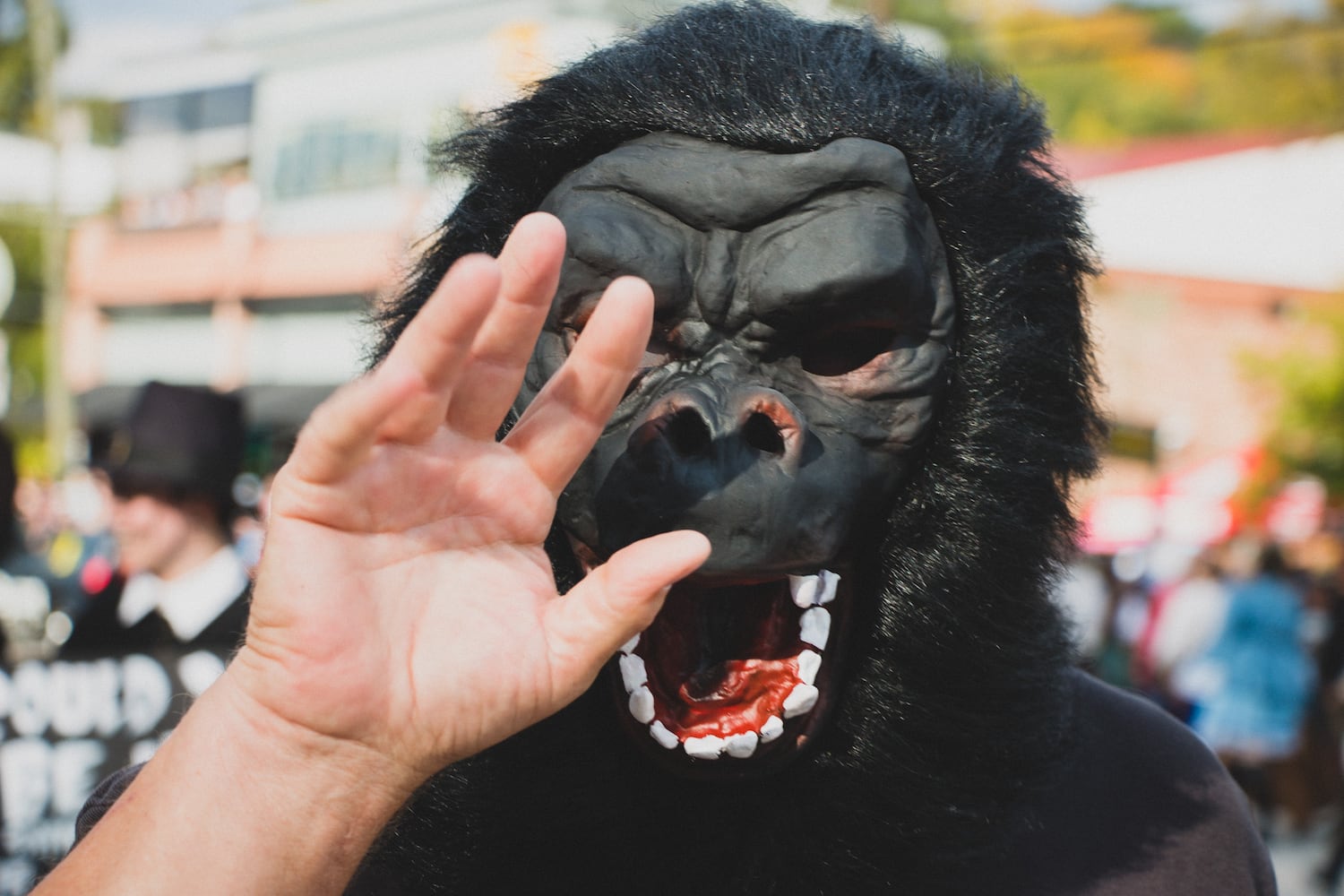 Photos: Revelers and costumes at the 2016 L5P Halloween Parade