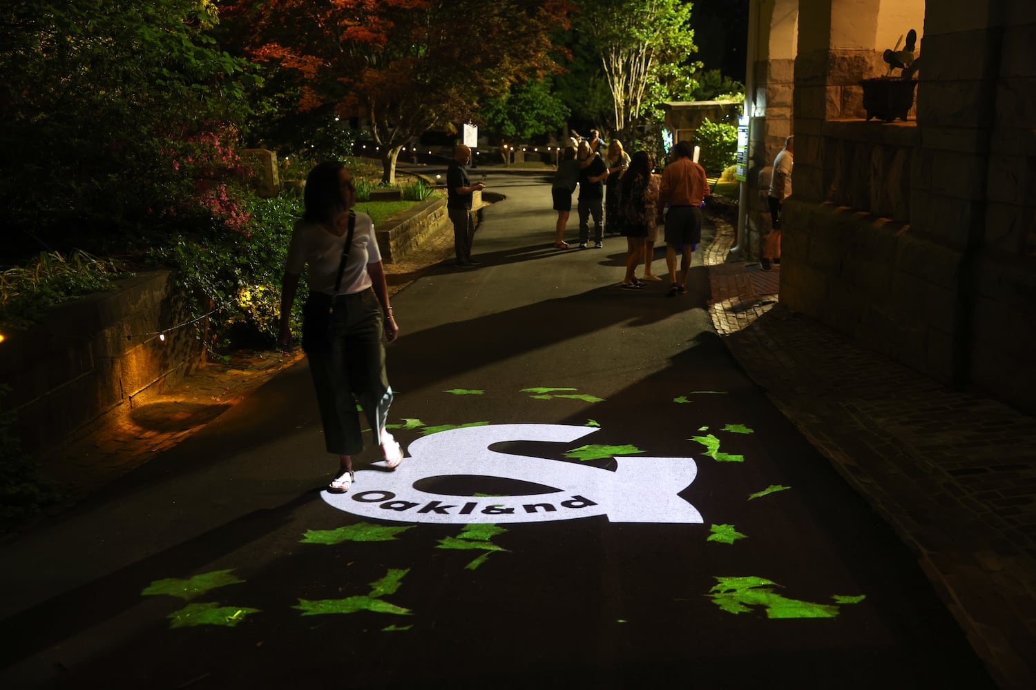 Oakland Cemetery Illumine