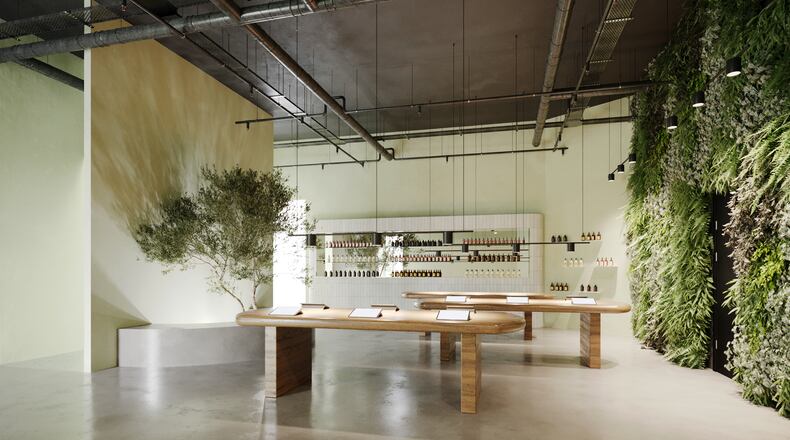 An artists rendering shows the kind of medical marijuana dispensary planned by Botanical Sciences, one of two licensed companies in Georgia. Medical marijuana sales could begin by late May or June.