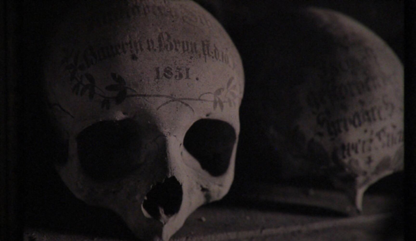 An 'Empire of Death' in San Francisco