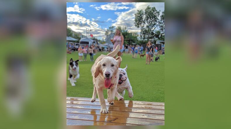 Fetch's dog park bar in Old Fourth Ward.