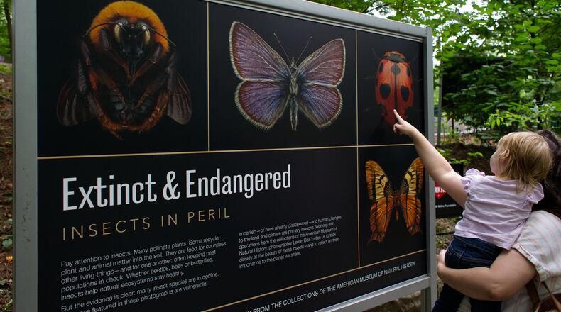 Levon Biss' extraordinary portraits of insects are on view now at Fernbank Museum of Natural History.
