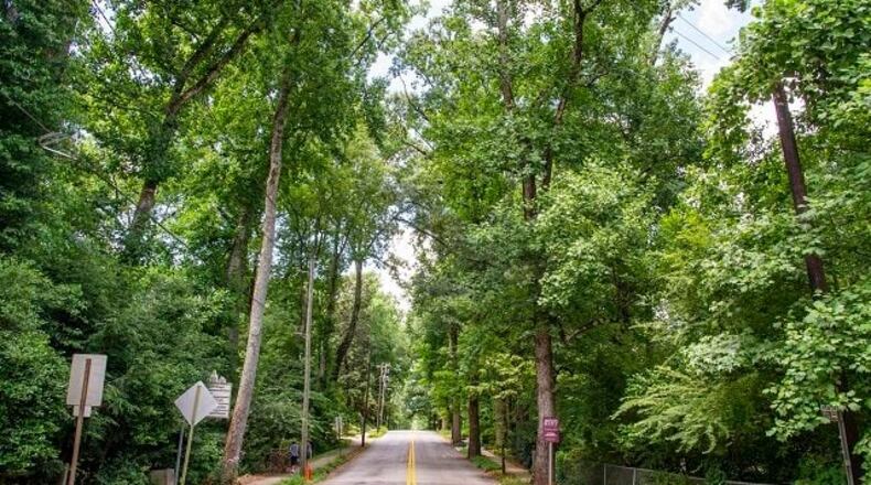 A new law on tree canopy conservation is in effect in the city of Decatur. (Courtesy of Trees Atlanta)