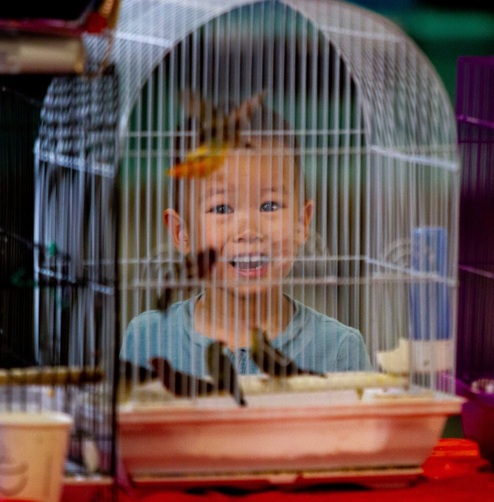 PHOTOS: SA Exotic birds