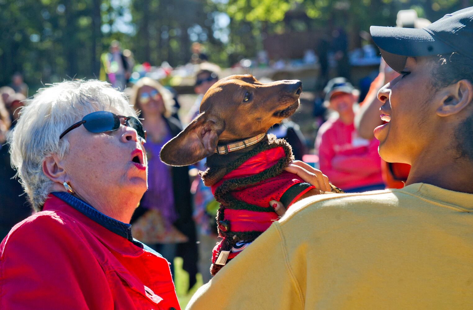Howl-O-Weenie in Dunwoody