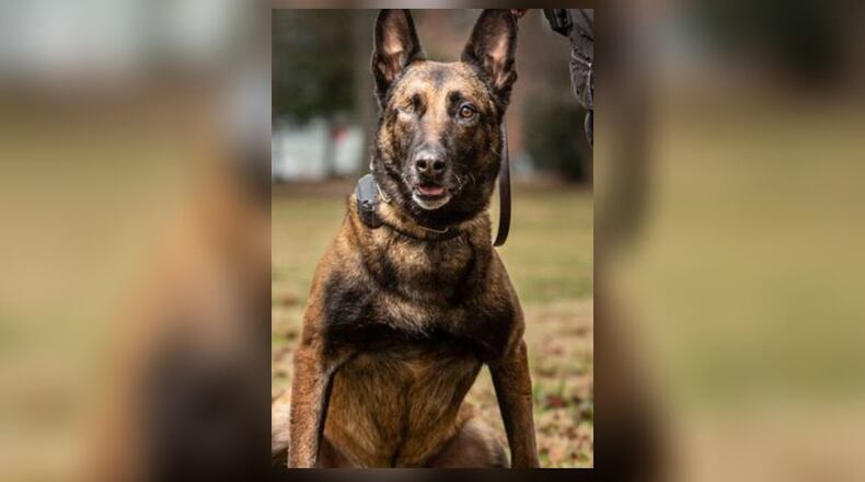 DeKalb County police dog Officer Indi found the suspect hiding in a drainpipe in a nearby community.