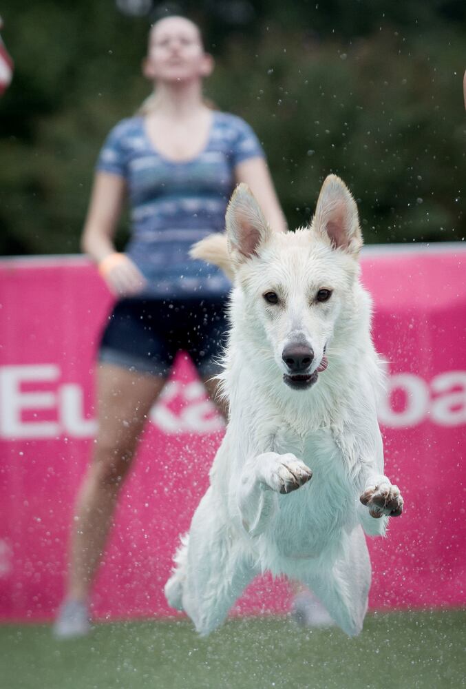 Photos: Woofstock brings pet party in Cobb