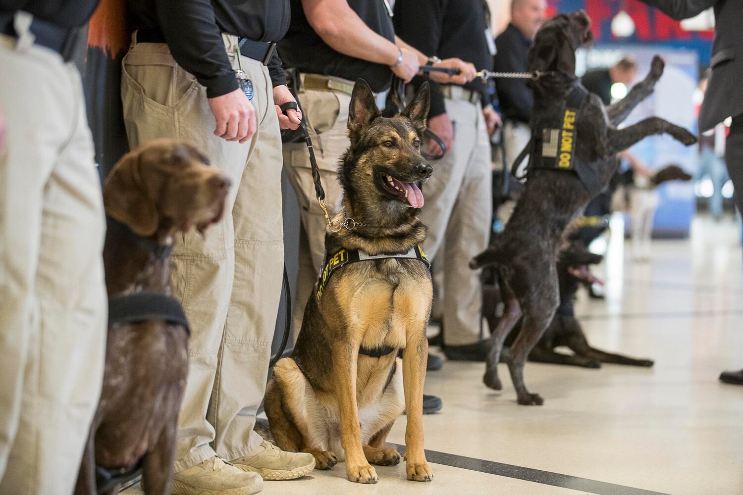 PHOTOS: Fans flock into Atlanta airport for Super bowl