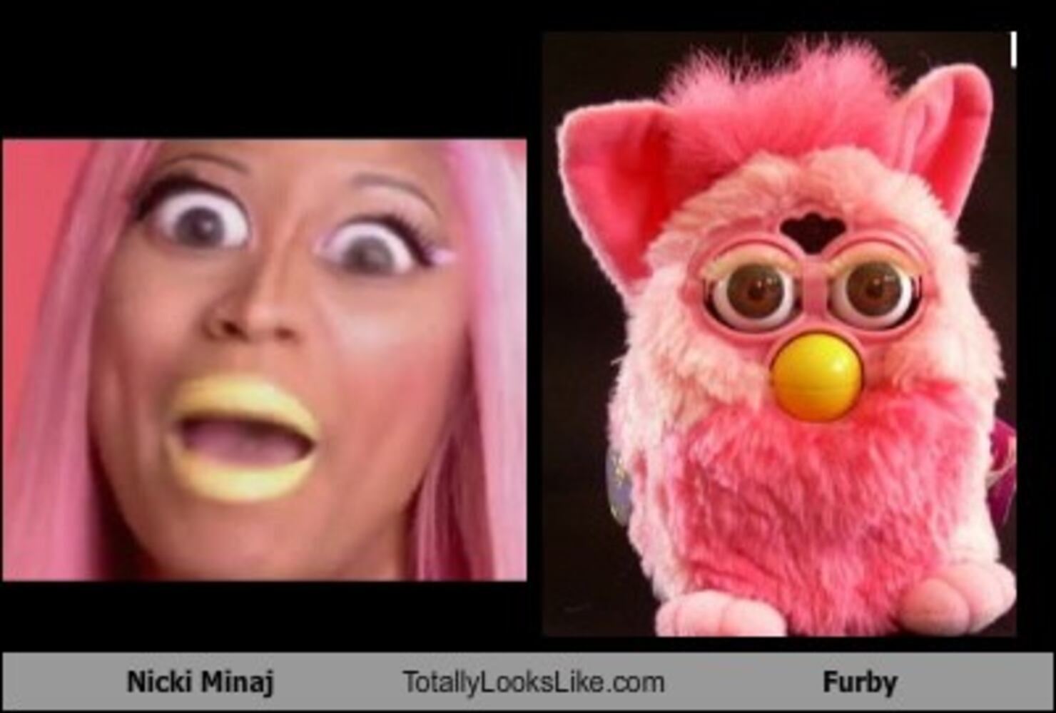 TotallyLooksLike.com