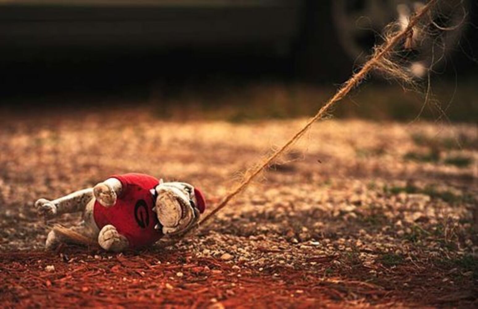 Tailgating photos: Georgia vs. Florida